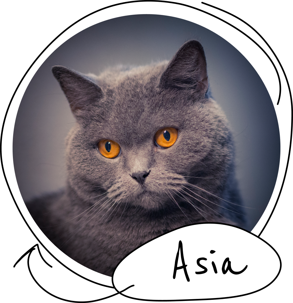 Asia