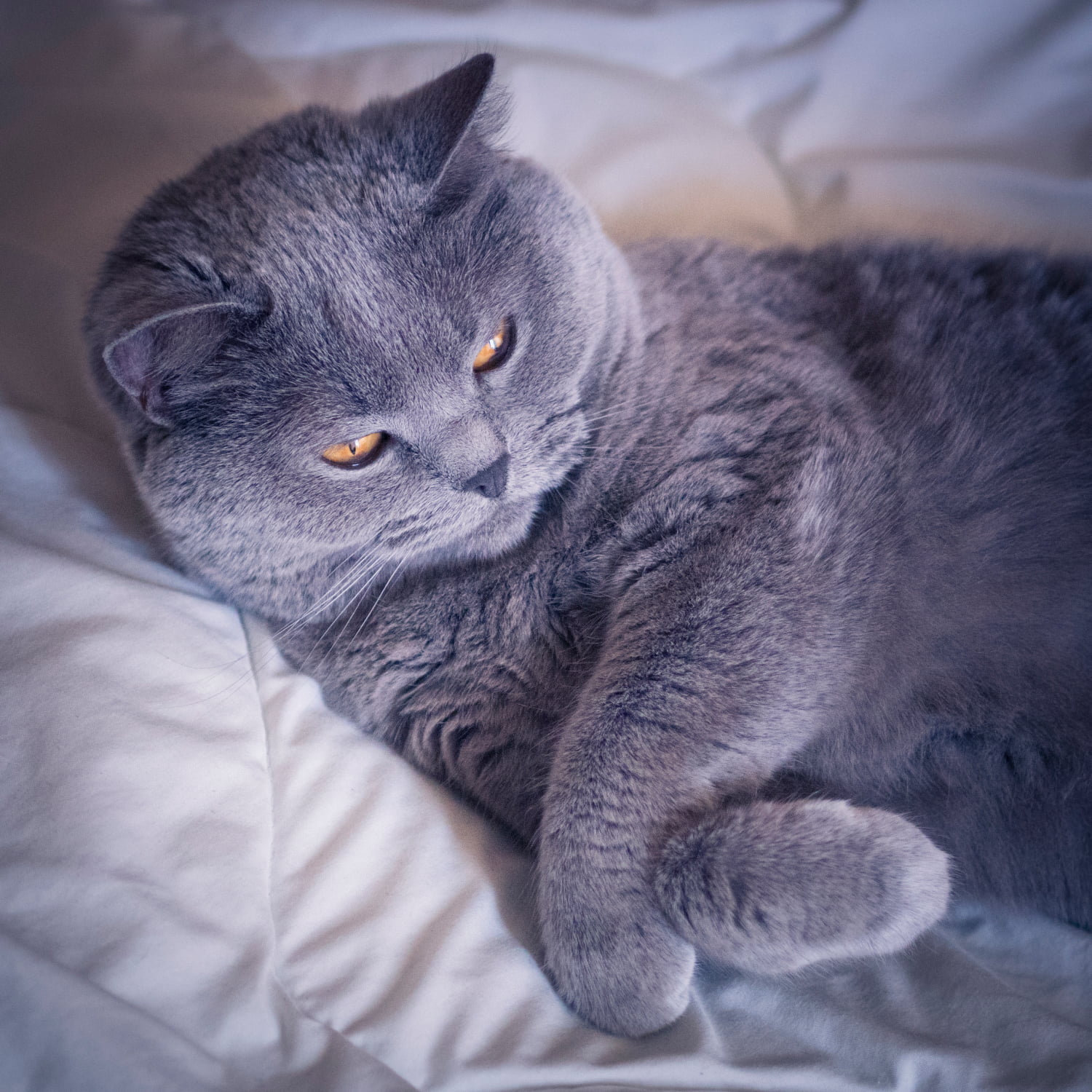 Kishka